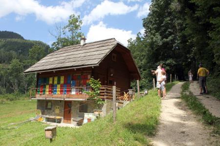 Dan odprtih vrat v Čebelarskem centru Luče